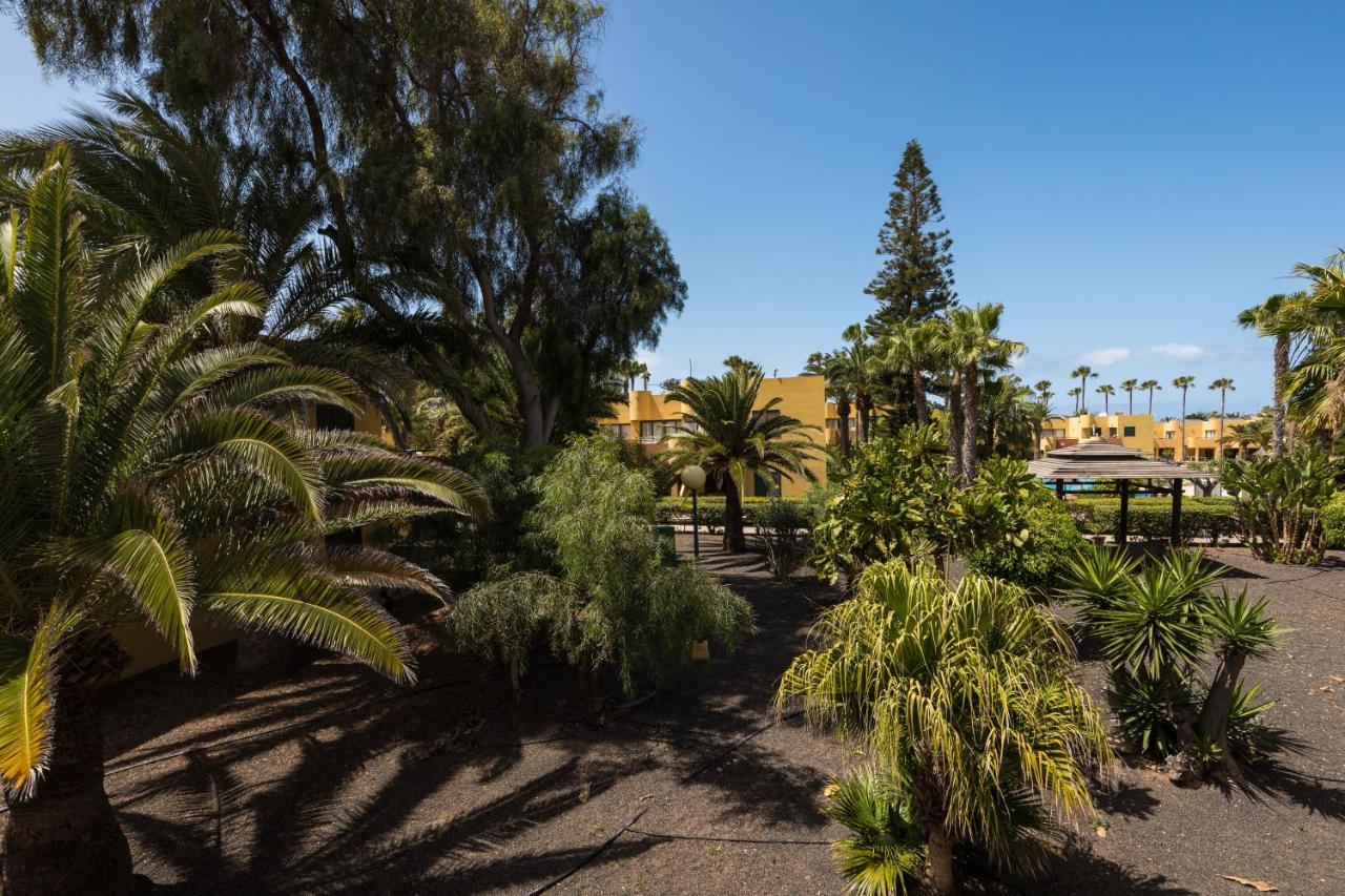 Blue Pearl Apartment Corralejo Exterior photo